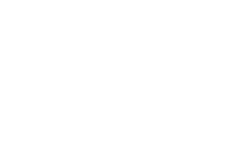 BW Vehicle Services logo